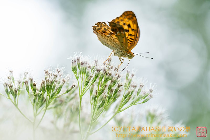 ../Images/7R250801 (76).jpg